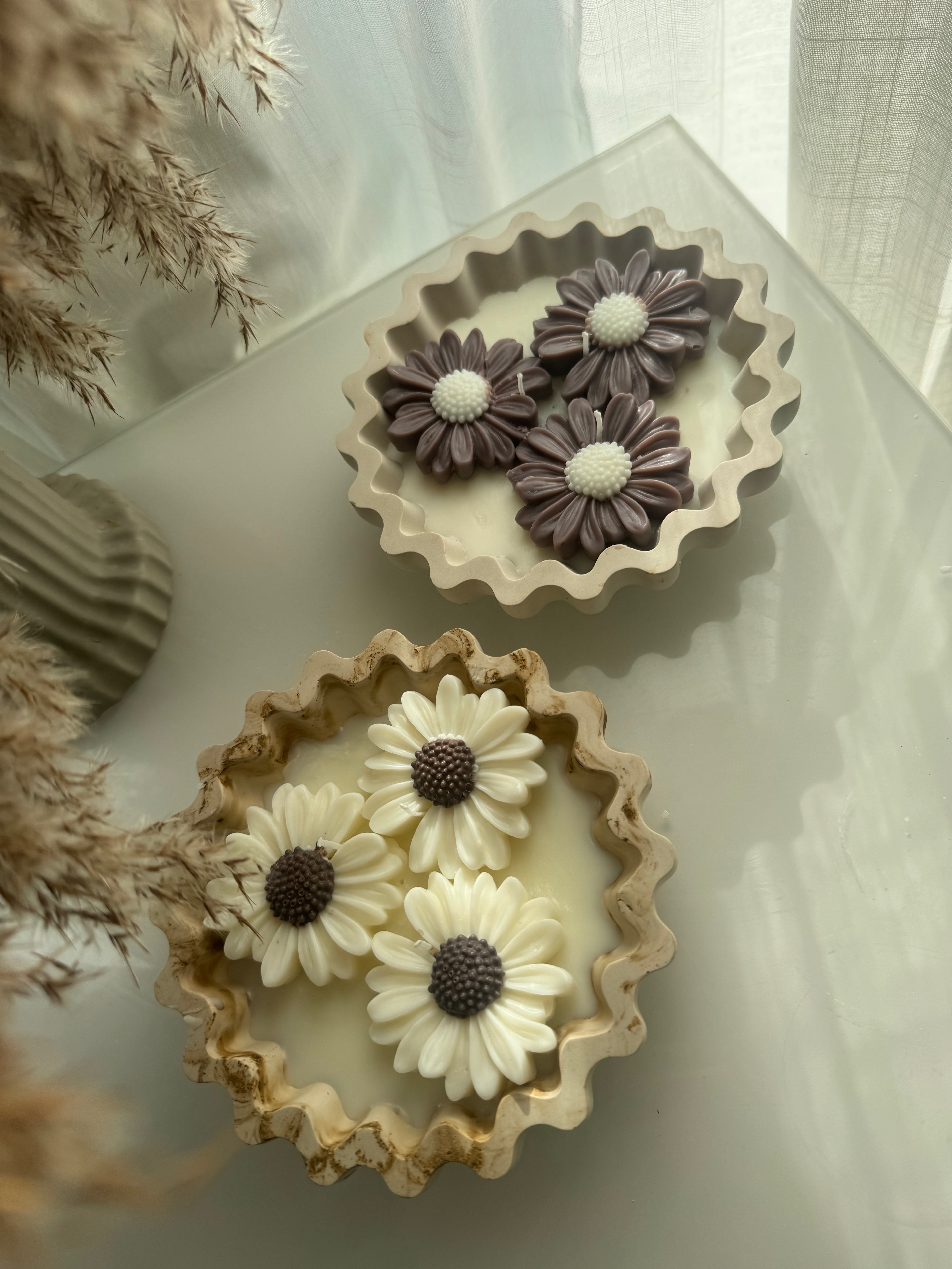 Summer Daisy Soy Candle Collection