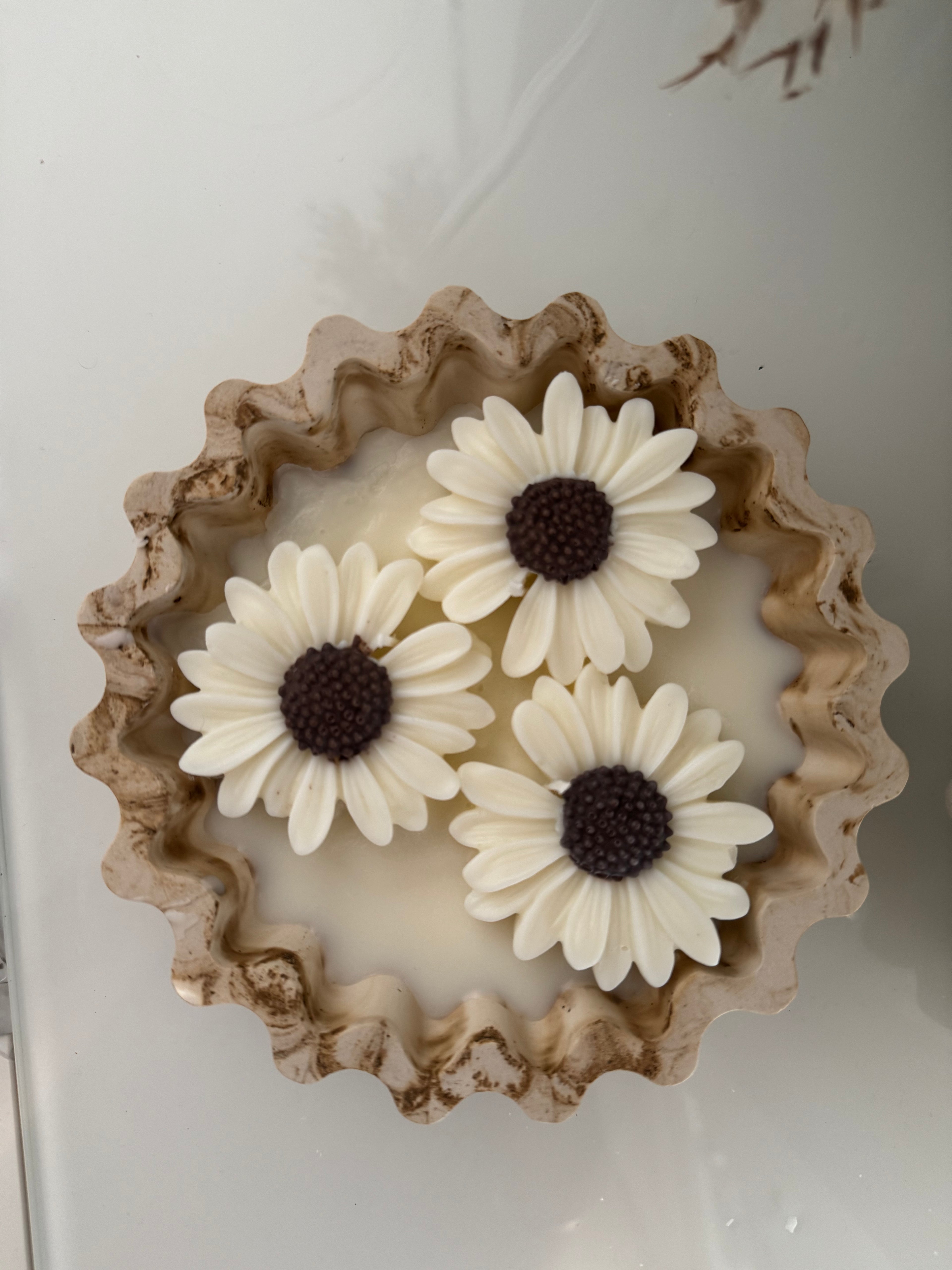 Summer Daisy Soy Candle Collection