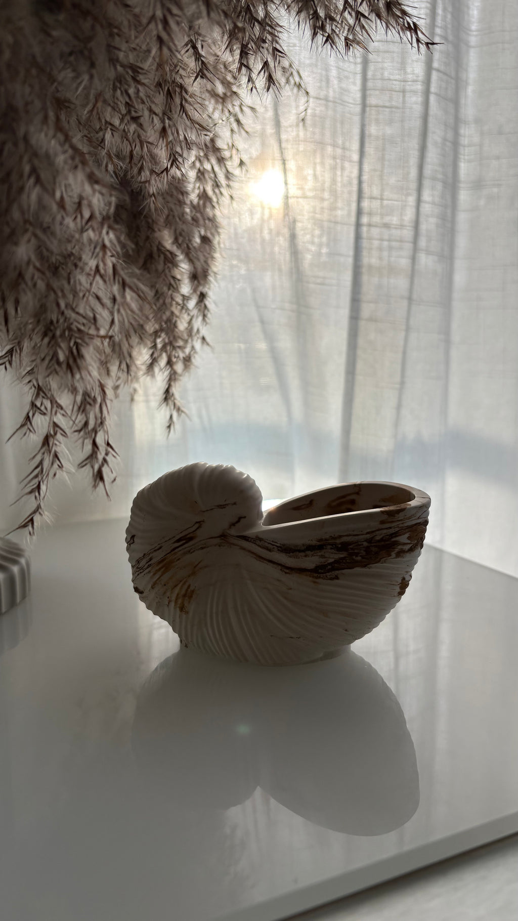 Rustic Conch Shell Art Piece
