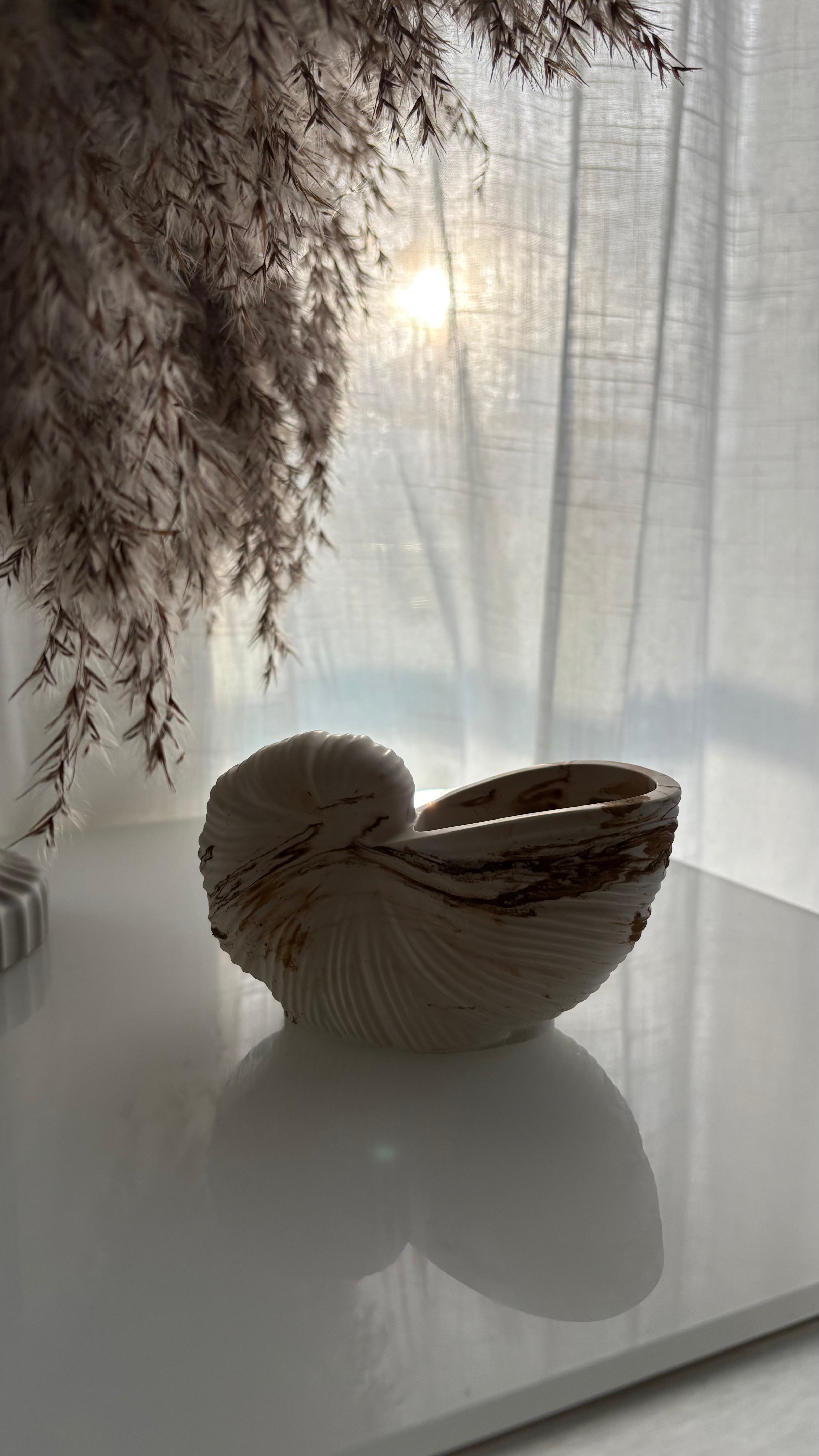 Rustic Conch Shell Art Piece