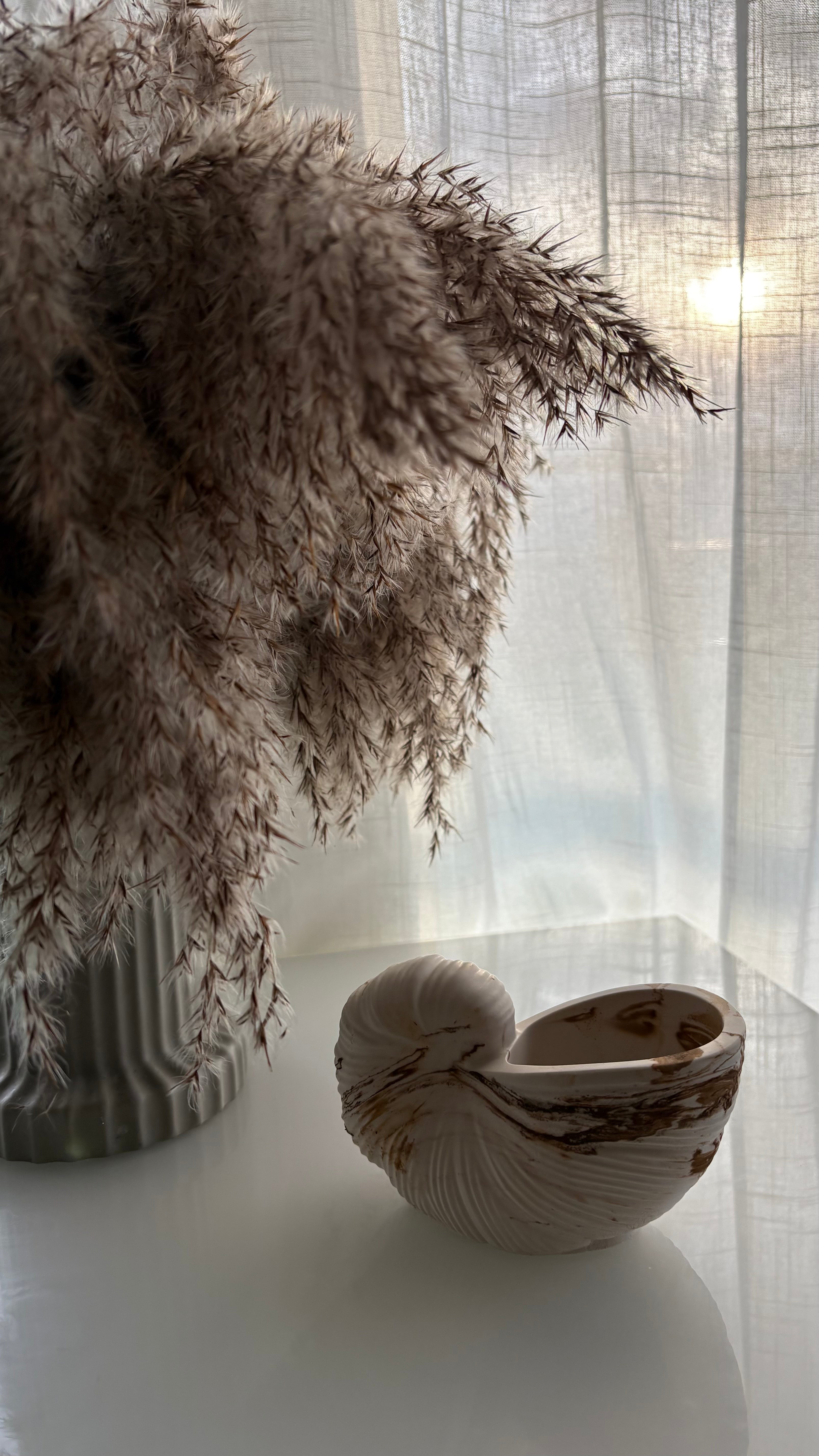 Rustic Conch Shell Art Piece