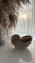 Rustic Conch Shell Art Piece