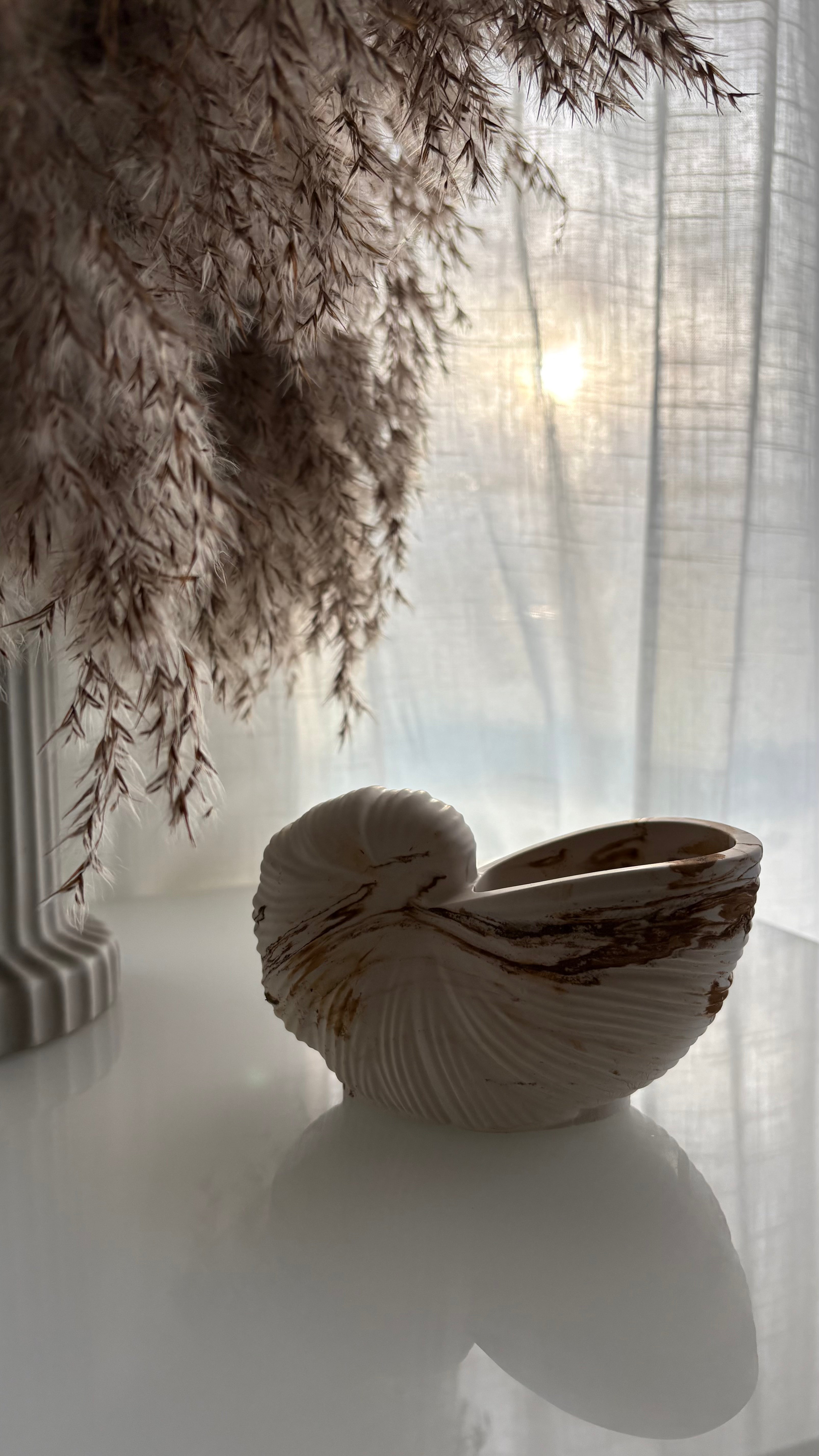 Rustic Conch Shell Art Piece