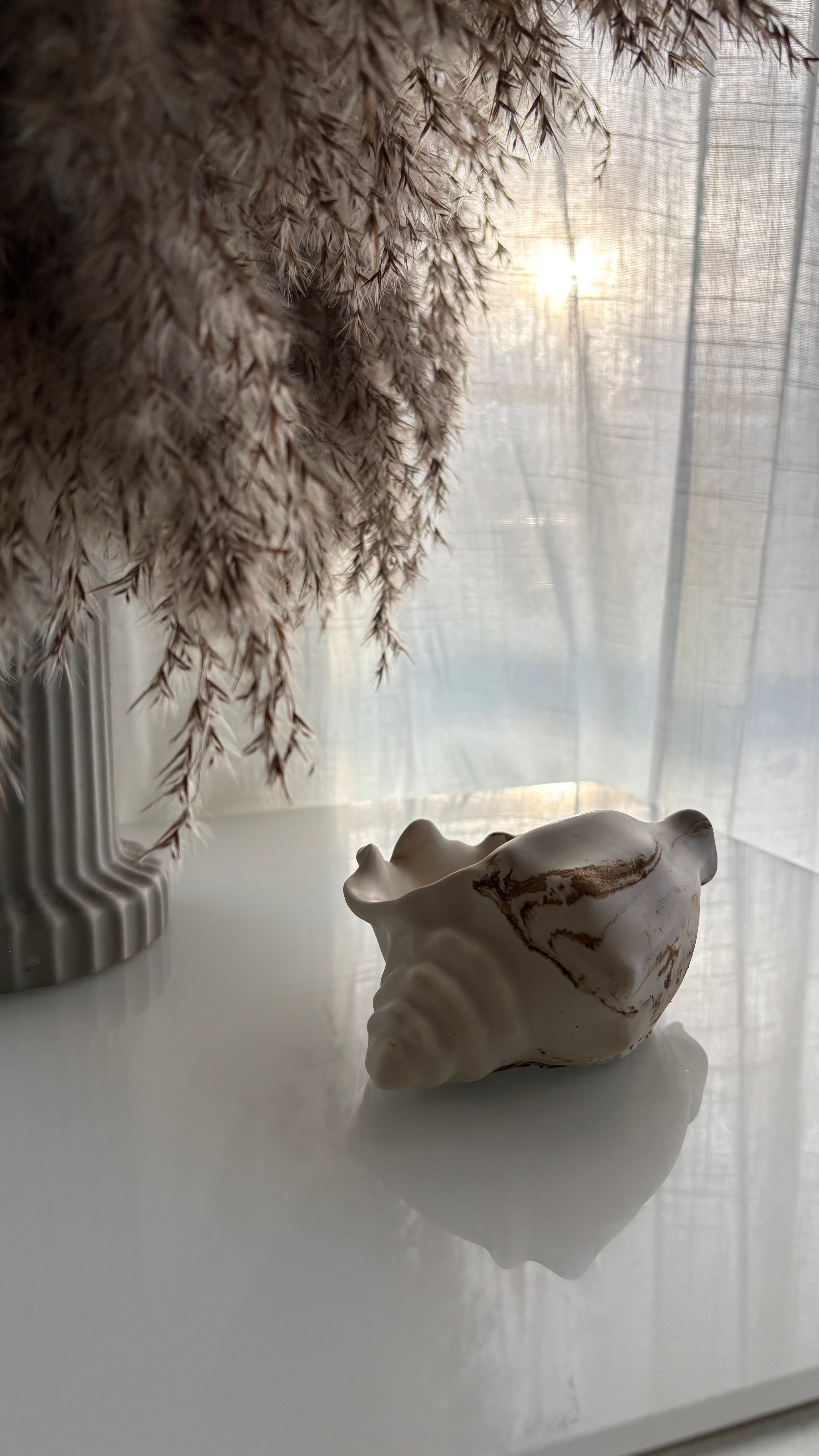 Polished Conch Shell Decorative Accent