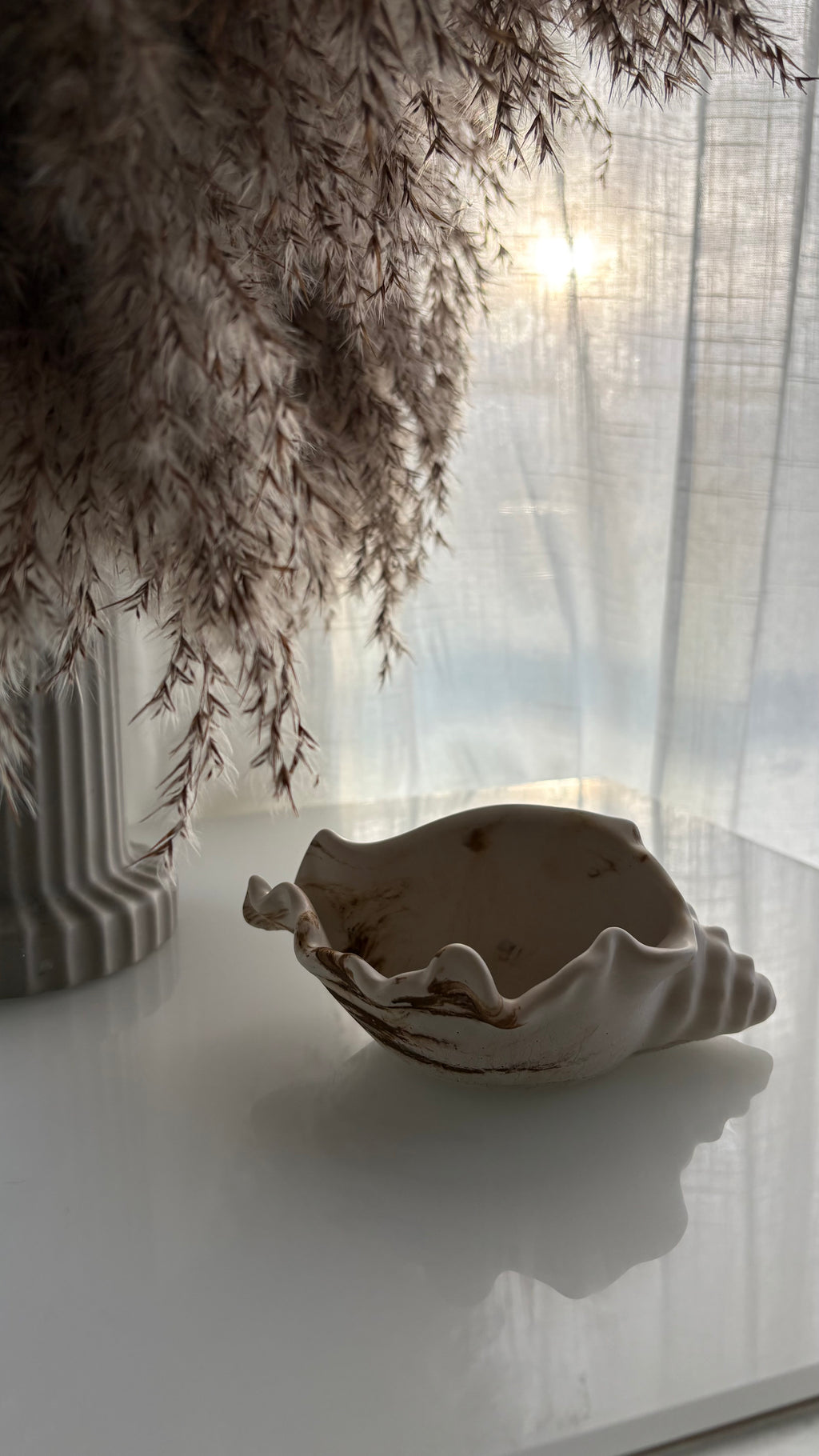 Polished Conch Shell Decorative Accent