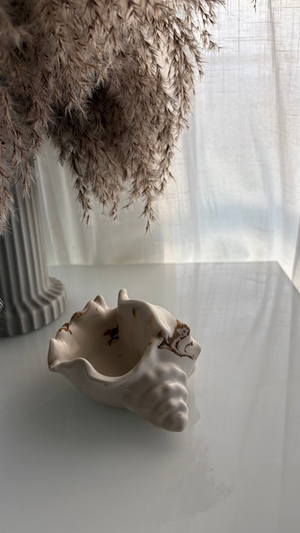 Polished Conch Shell Decorative Accent