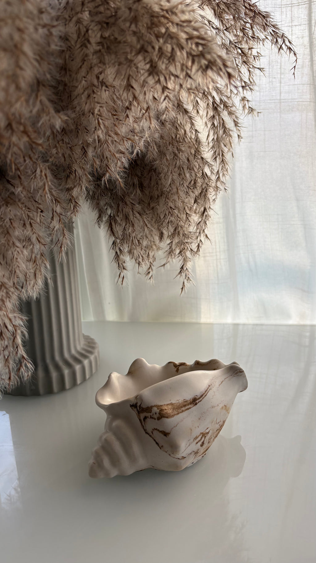Polished Conch Shell Decorative Accent