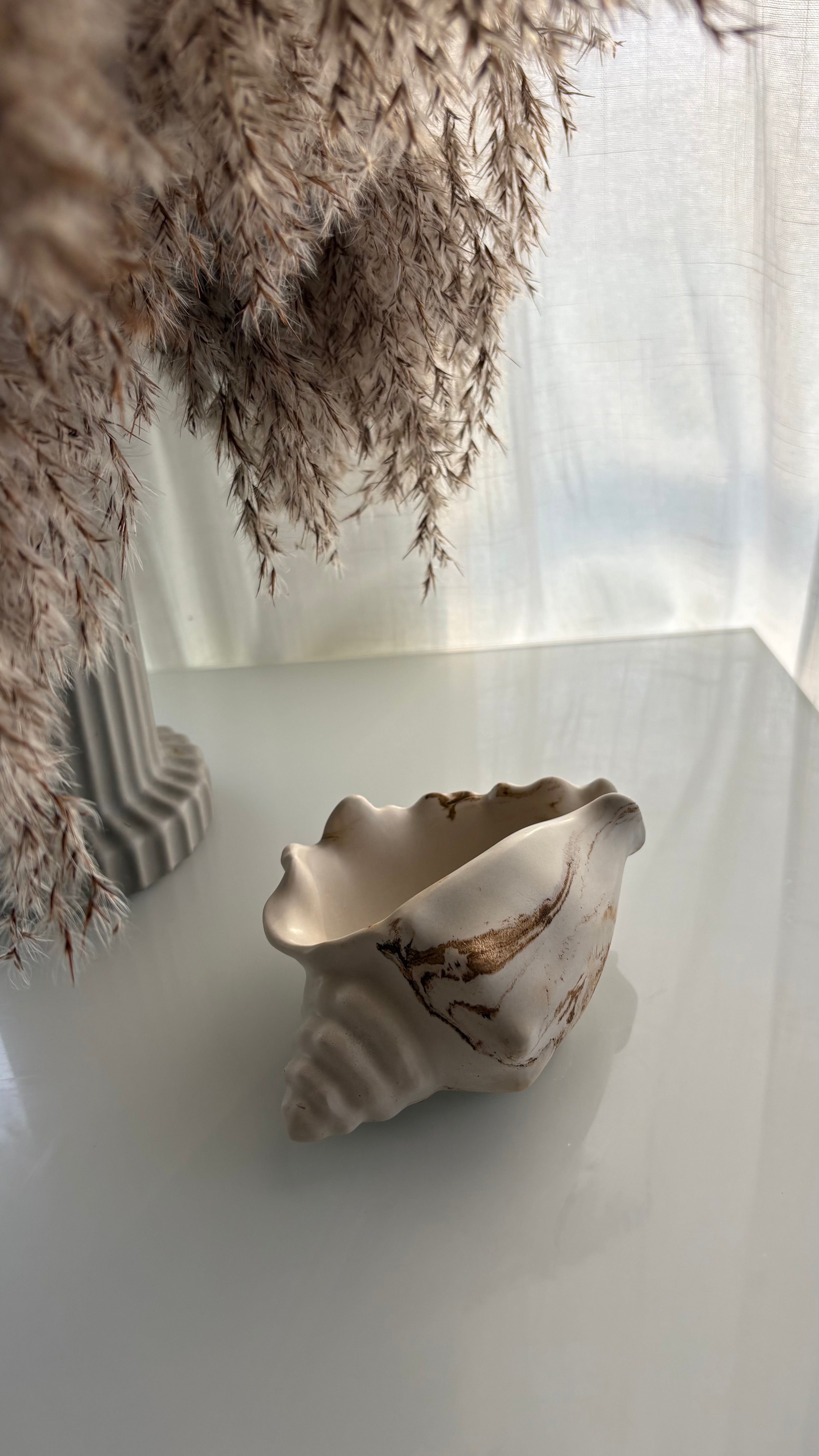 Polished Conch Shell Decorative Accent