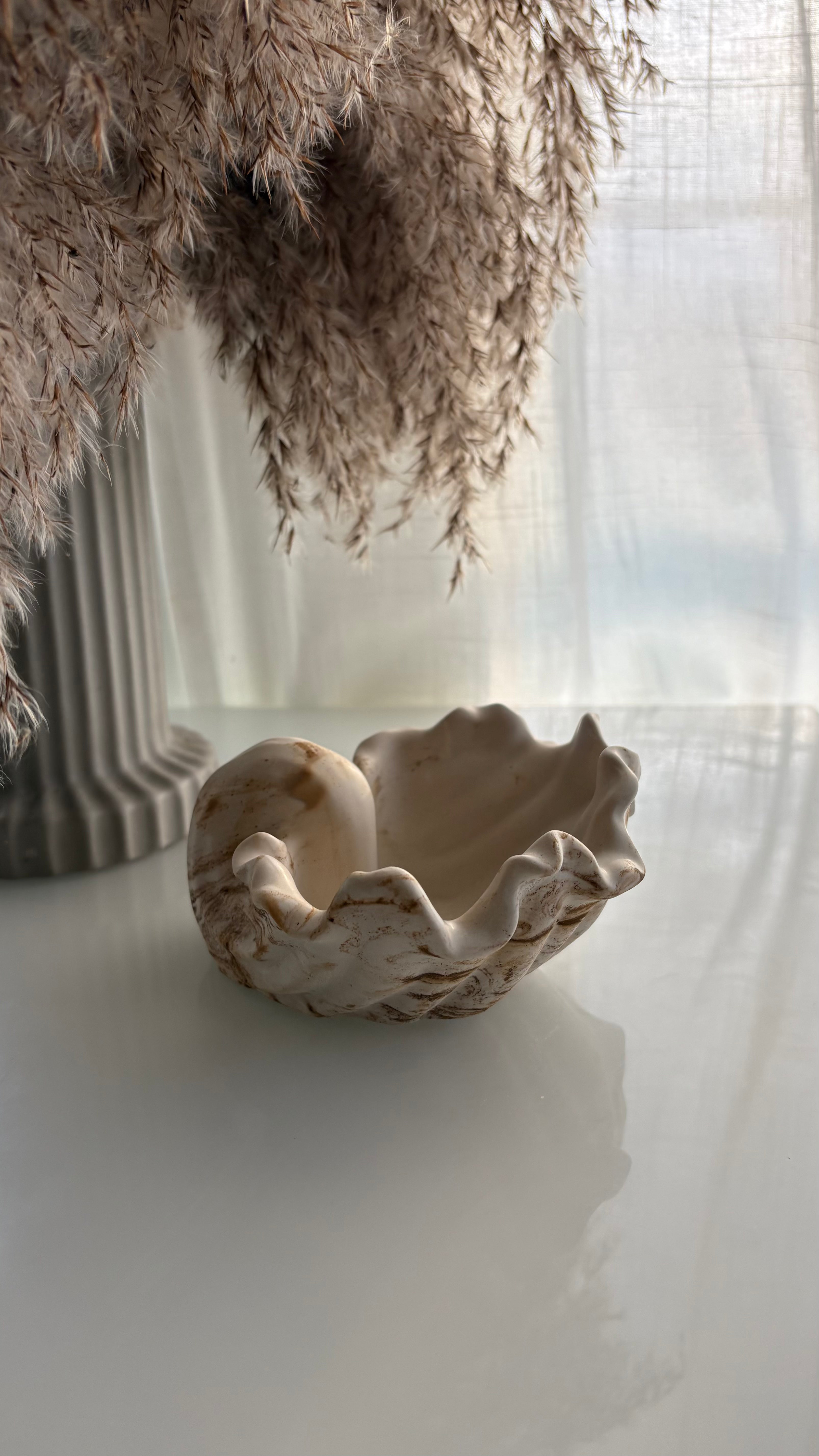 Wavy Shell Decorative Piece