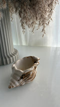 Mini Shell Accent Piece