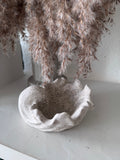 Coasta Wavy Sand Shell Accent