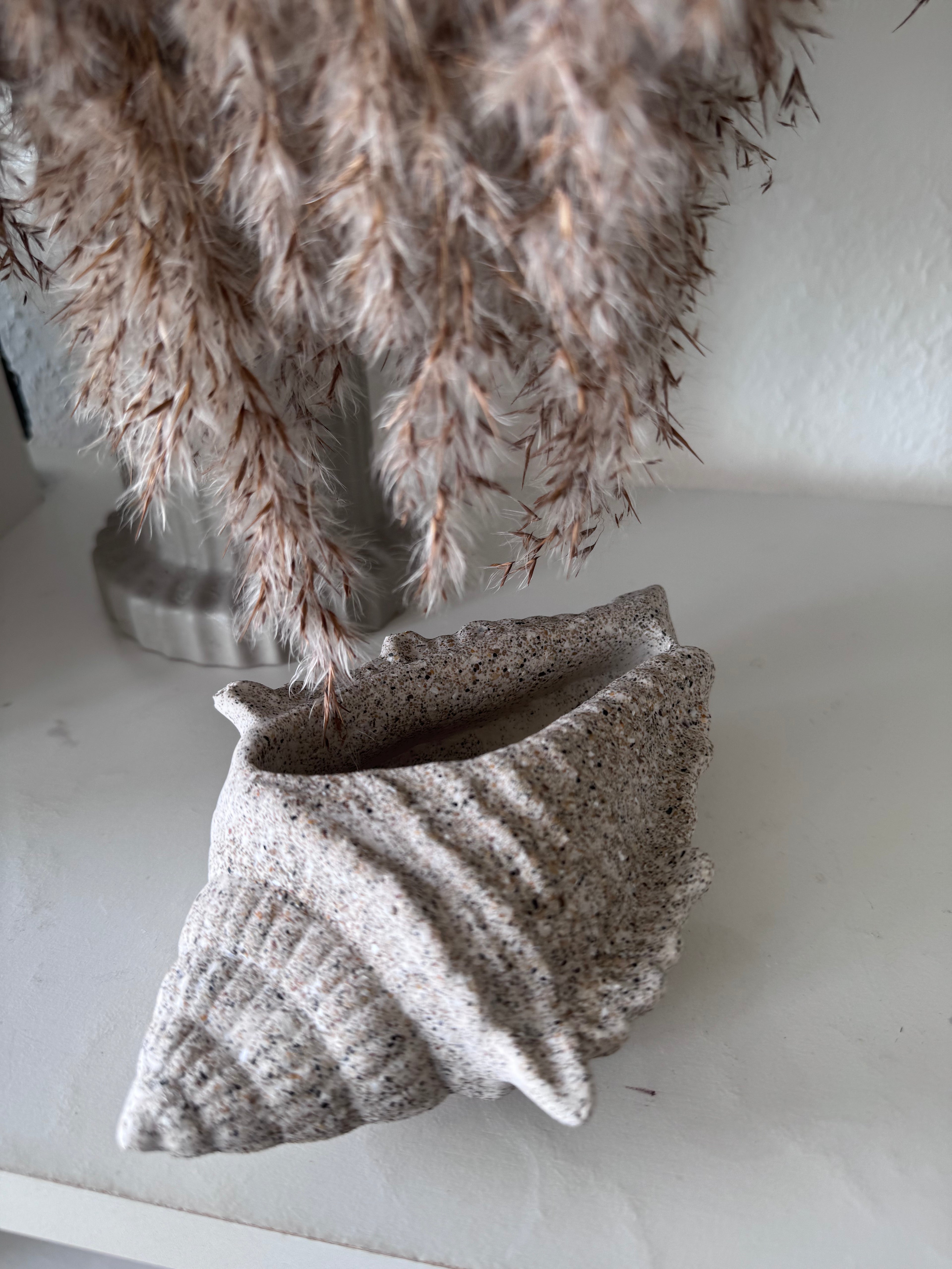 Sandstone Conch Sculpture