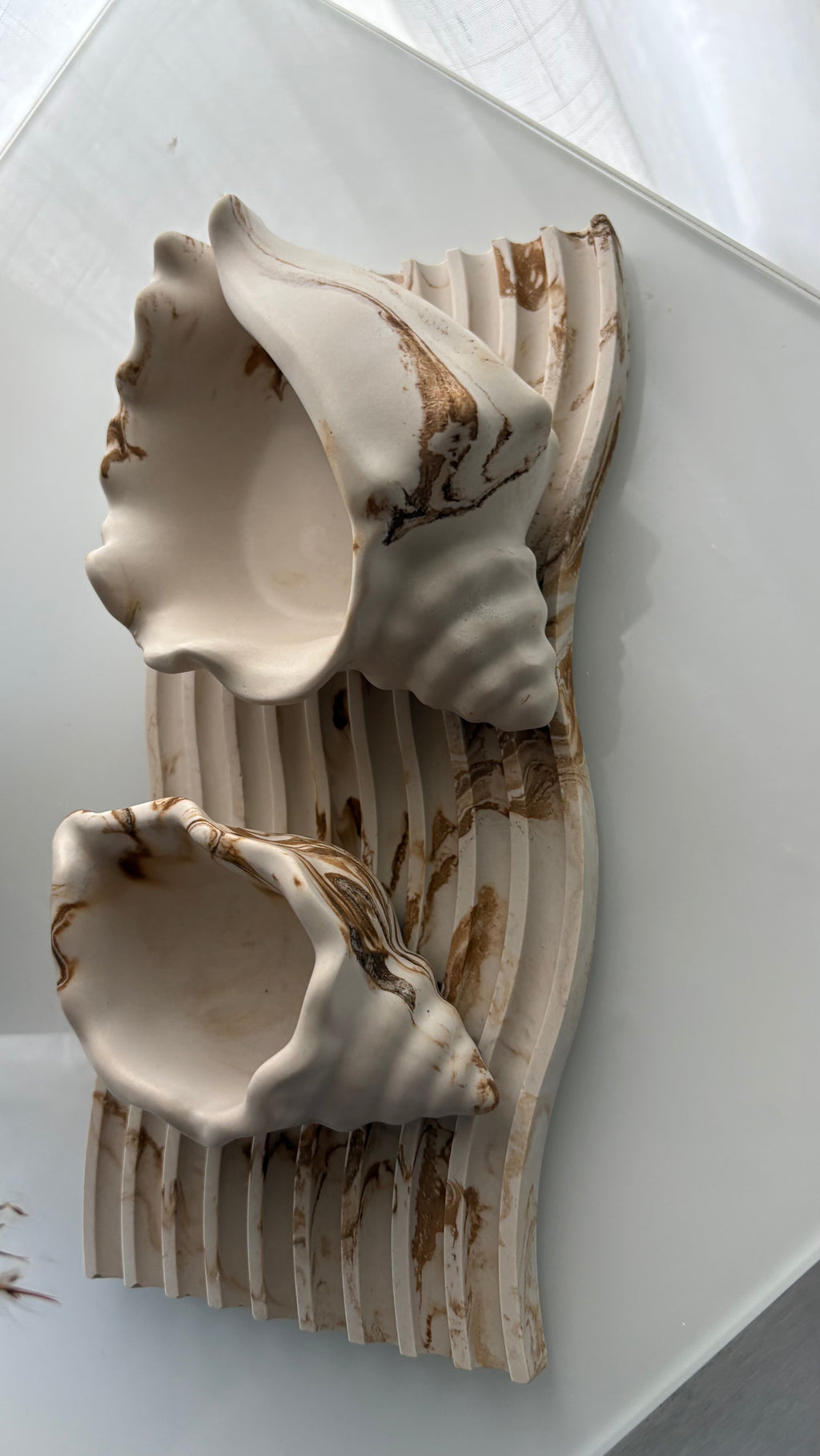 Polished Conch Shell Decorative Accent