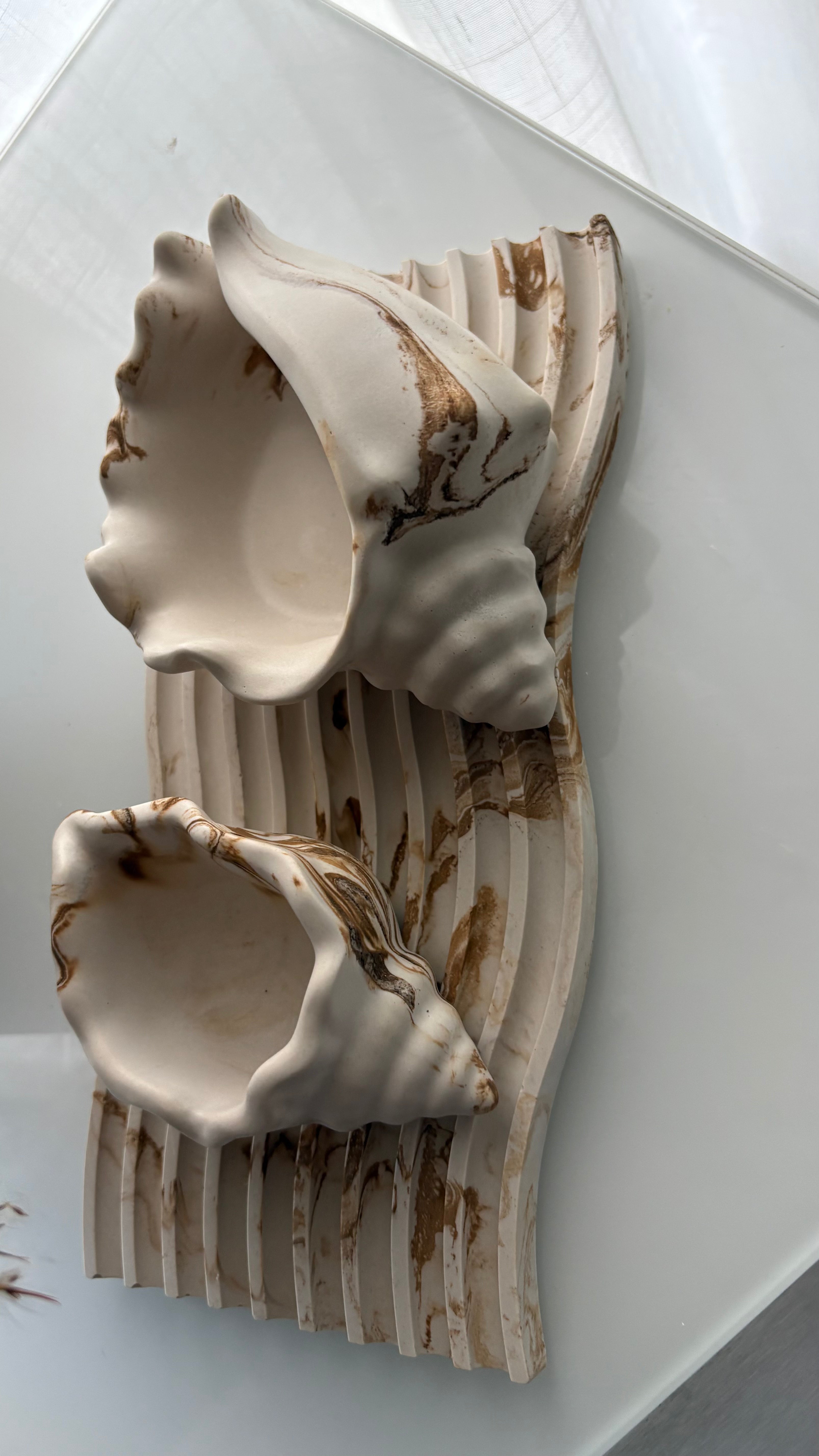 Polished Conch Shell Decorative Accent