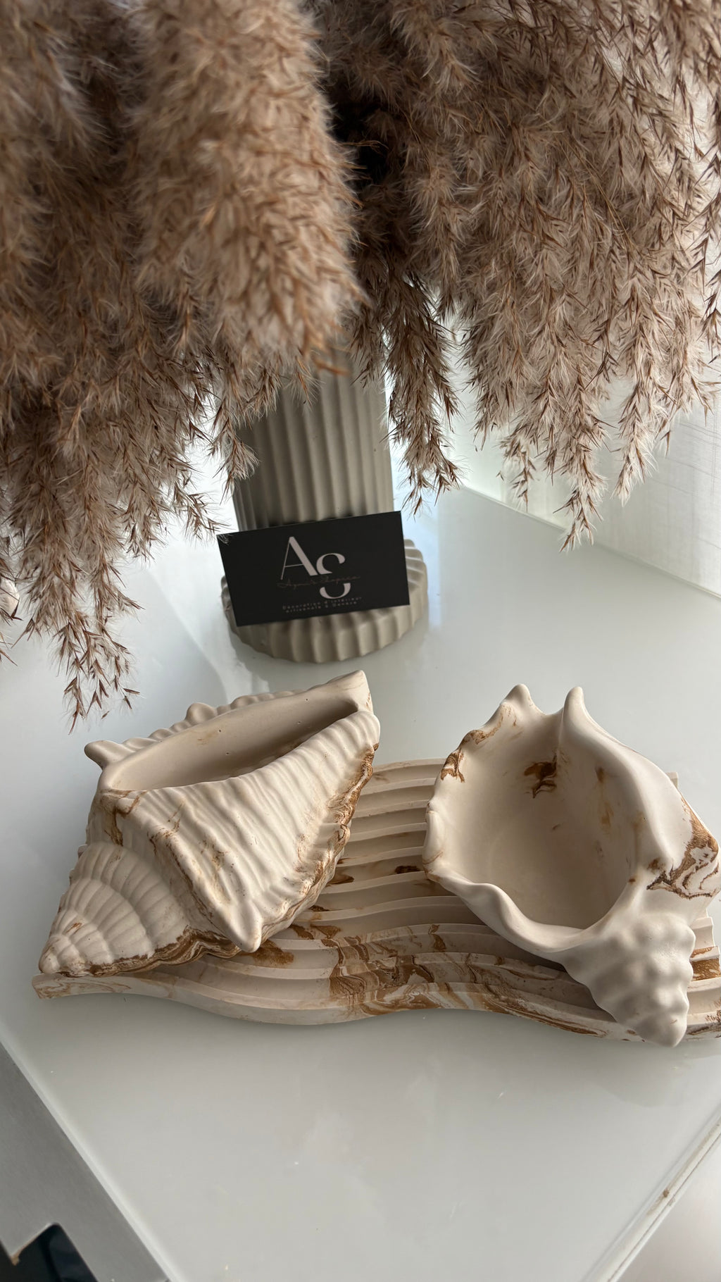 Natural Conch Shell Statement Piece